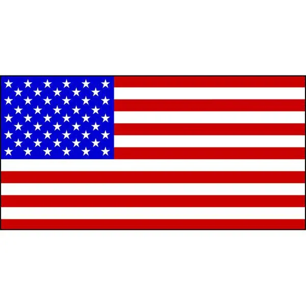 langualge icon